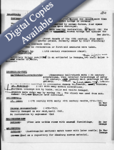 M1940- Ardelia Hall Collection: Miscellaneous Property Reports