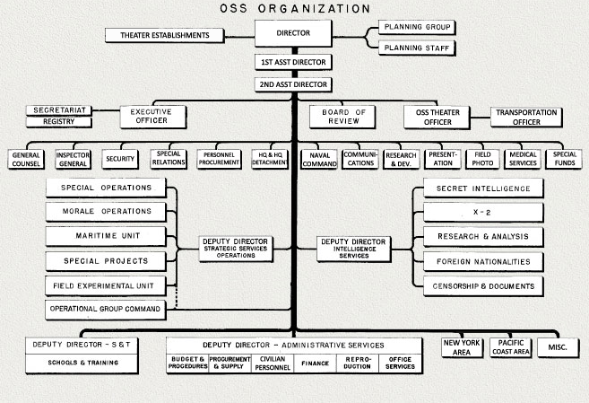 Intelligence Organization Chart