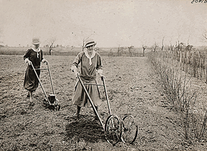 Suffrage farmerettes. Mrs. Ruth Litt of East Patchoque, New York at work