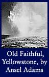 Taken at Dusk or Dawn from Various Angles during Eruption, Old Faithful Geyser, Yellowstone National Park, Wyoming (Vertical Orientation), 1933-1942 (National Archives Identifier 520016)