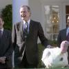 President Bush receives a turkey