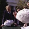 President Ford receives a turkey