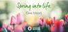 Spring into Life: Give Blood