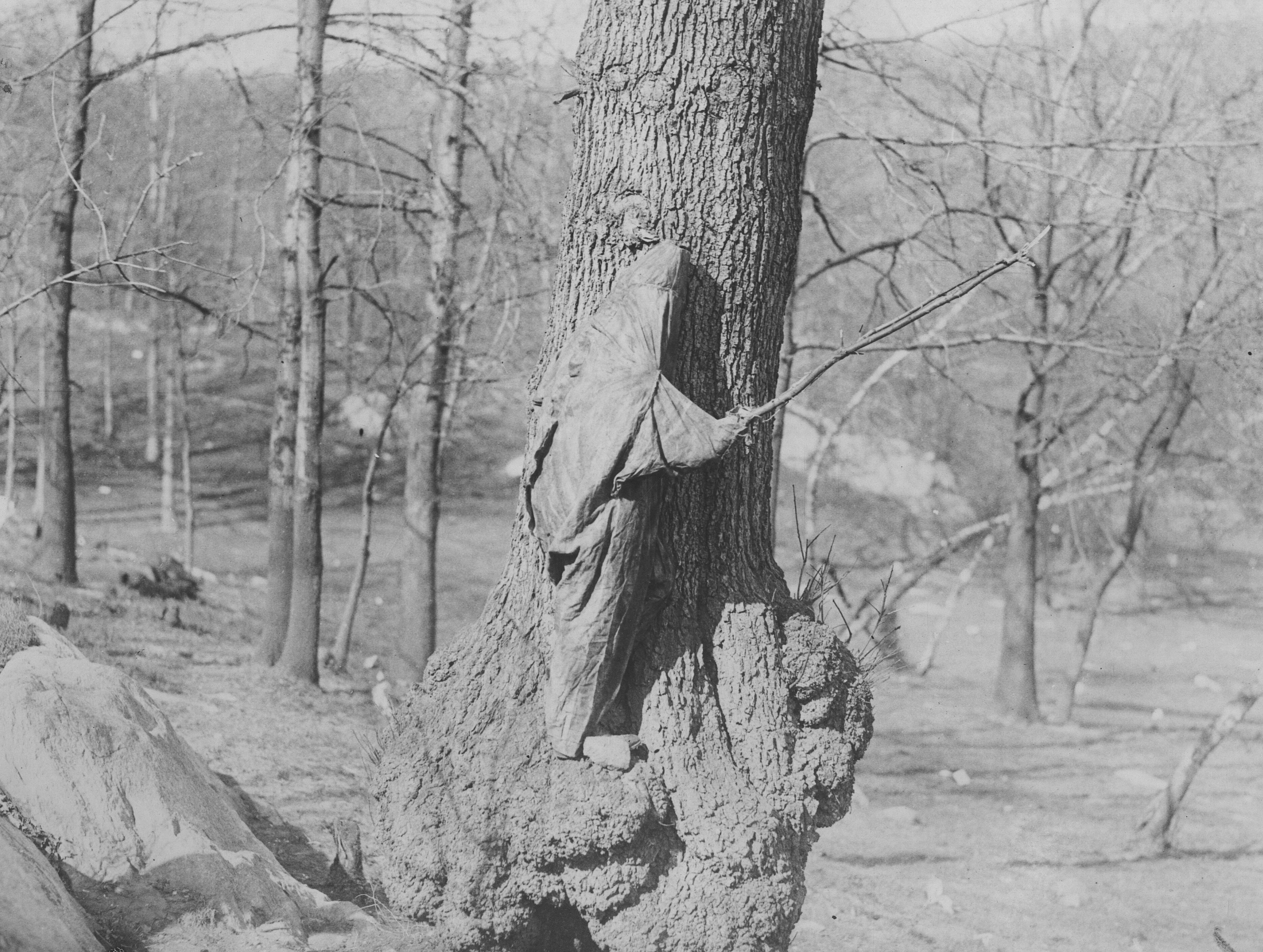 Learning the art of camouflage