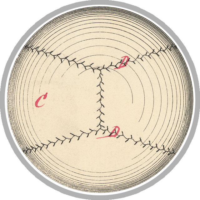 Baseball patent graphic