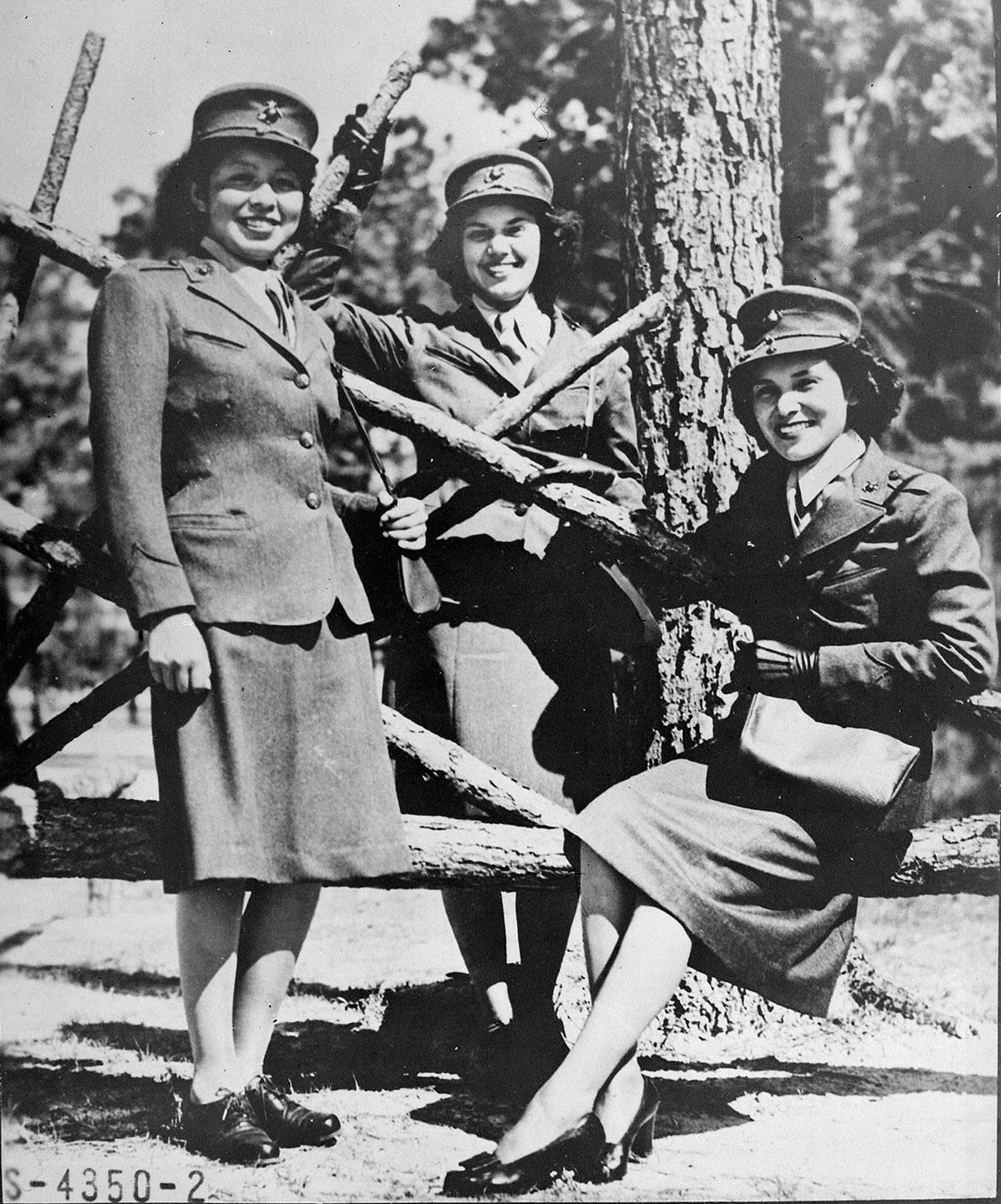 Slideshow background image